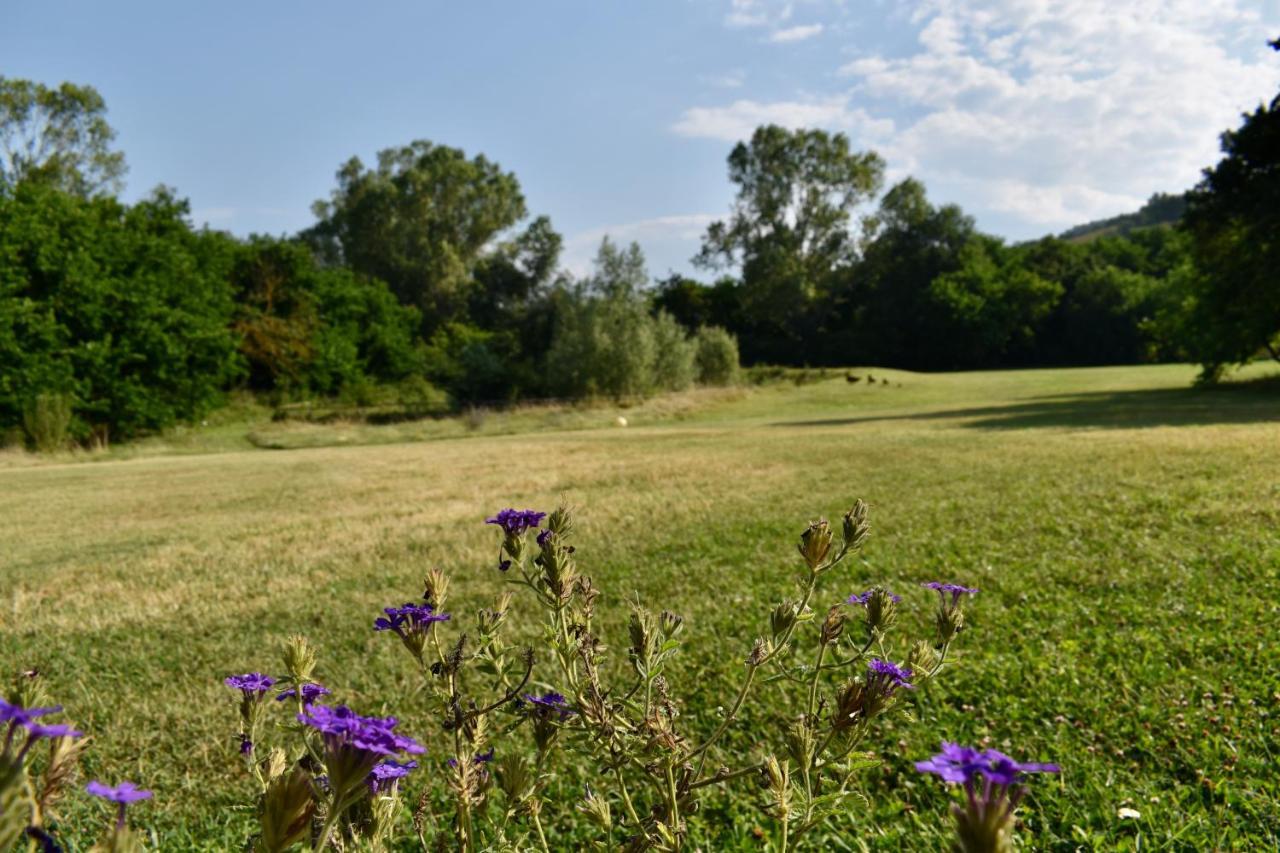 Agriturismo La Sorgente Camerano Exterior photo